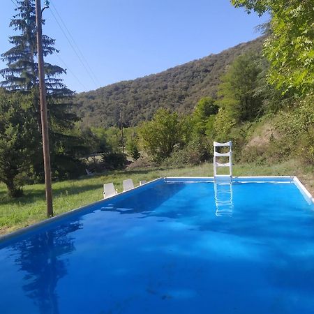 La Grenouille Bed & Breakfast Valleraugue Exterior photo